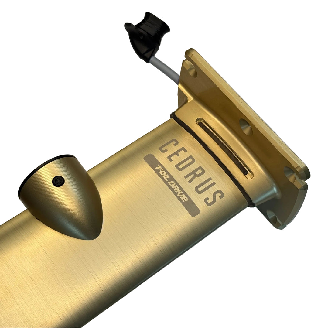 Foil Drive Integrated Masts