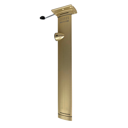Foil Drive Assist Integrated Evolution Aluminum Mast