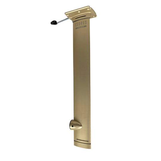 Foil Drive E-Foil Integrated Evolution Aluminum Mast