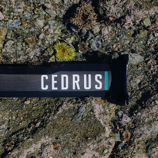 An overhead shot of the Cedrus Evolution Surf Mast laid out on a rocky tide pool, highlighting the mast's sustainability and its lightweight, hydrodynamic design that minimizes environmental impact.