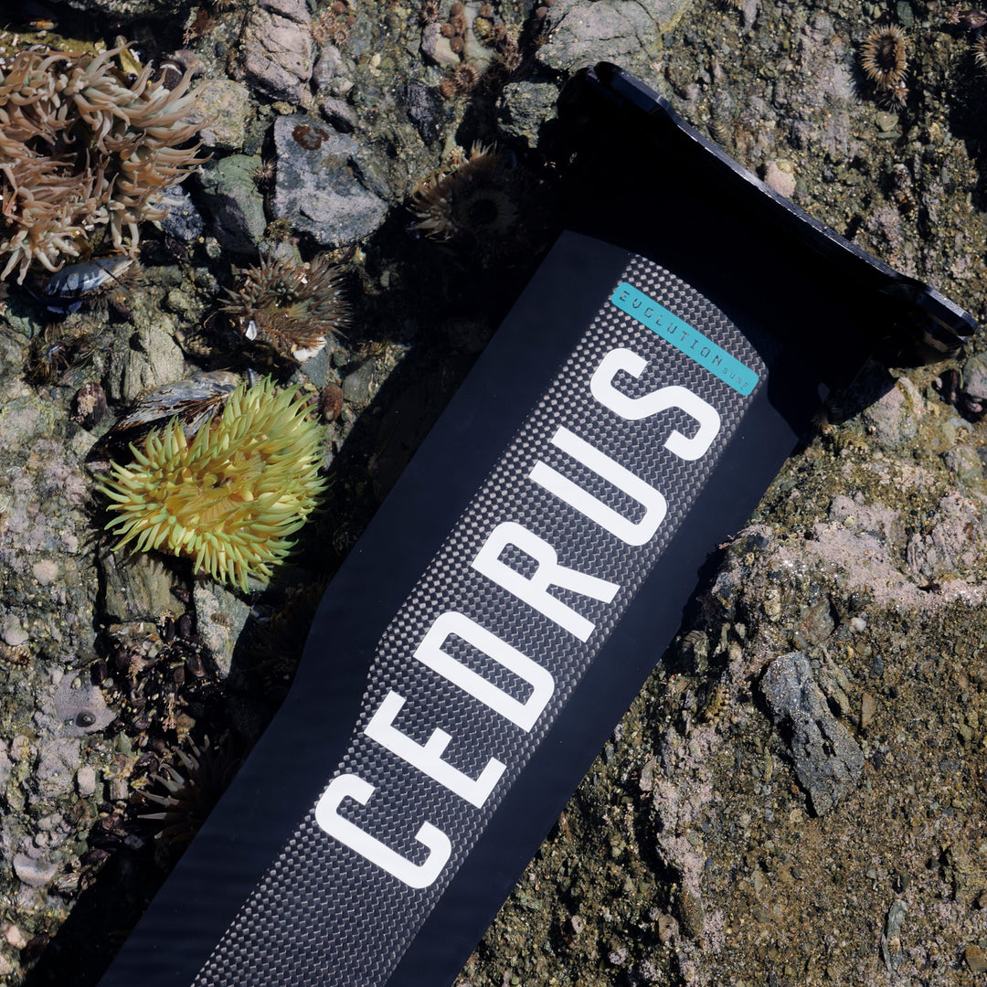 An overhead shot of the Cedrus Evolution Surf Mast laid out on a rocky tide pool, highlighting its design speaking to the seamless experience it offers — from gliding over waves to pumping back to the outside